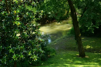 DSC_2746 (Large).JPG